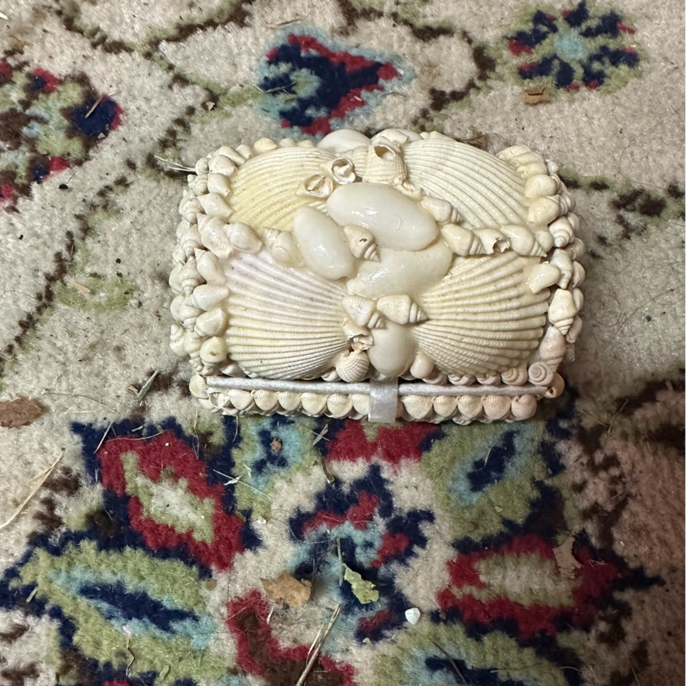 Vtg | Seashell Trinket Box
